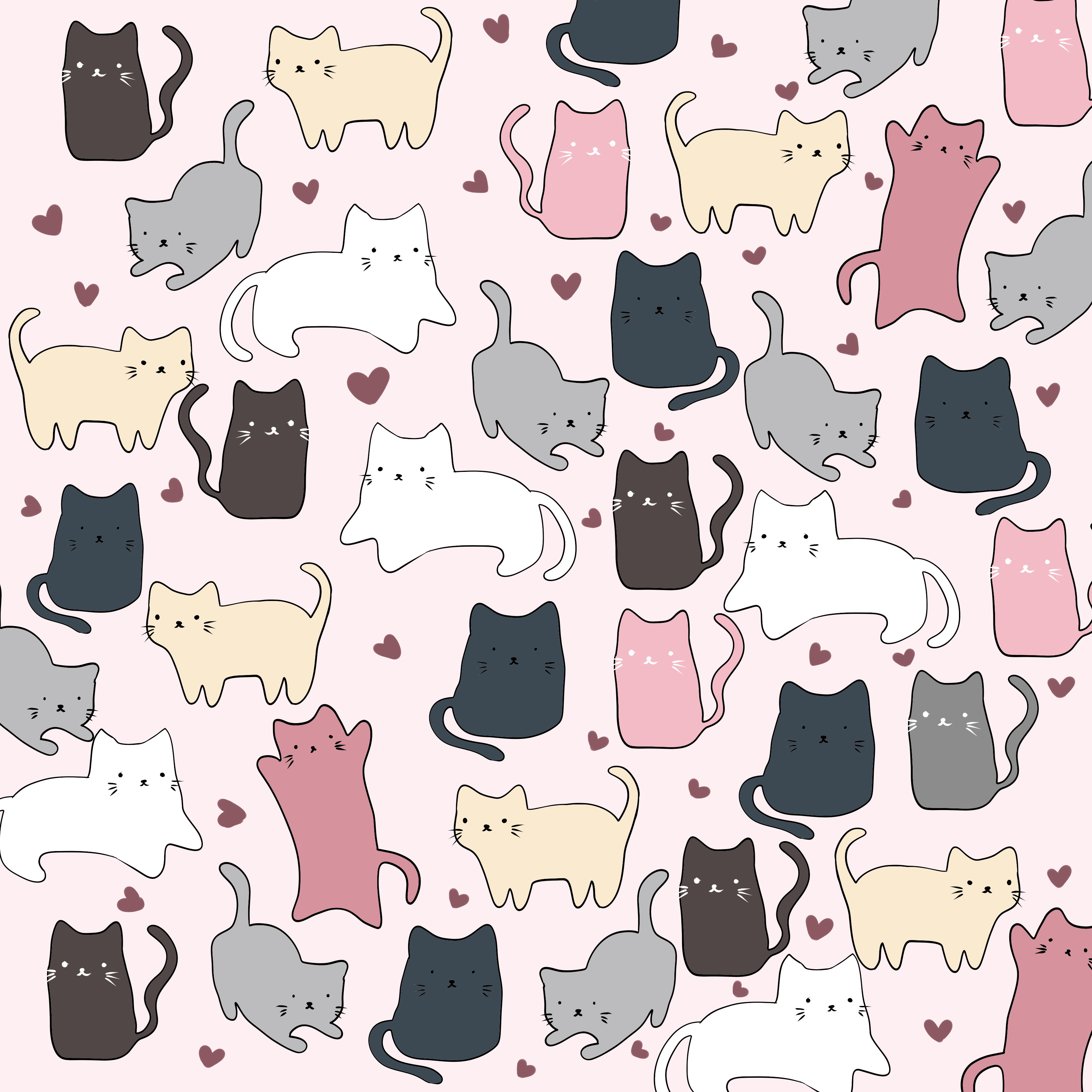 Kitty